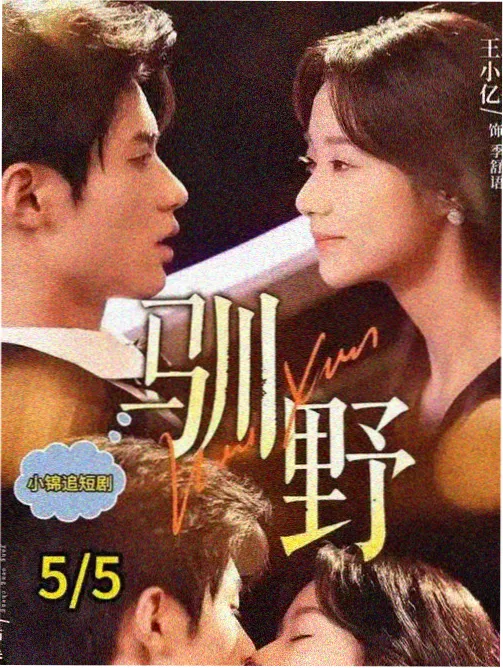字幕组